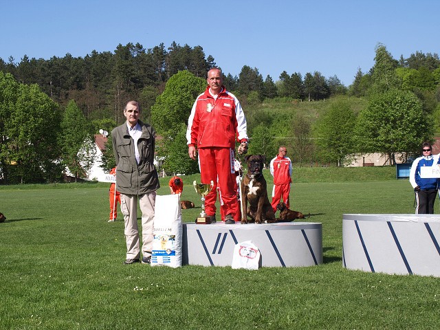 www.atibox.net * www.euroboxer.eu * www.boxergenealogia.eu